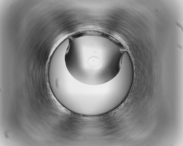 X0000094951392200712201127