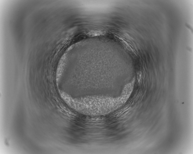 X0000094951393200712201127