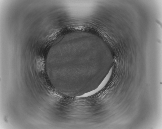 X0000094951394200712201127