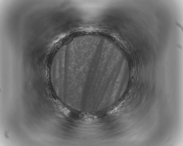 X0000094951398200712201127