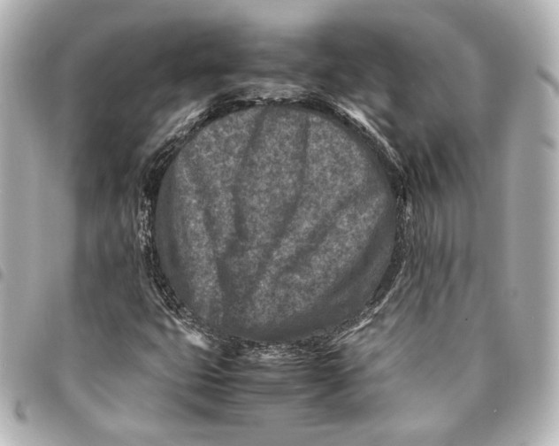 X0000094951399200712201127