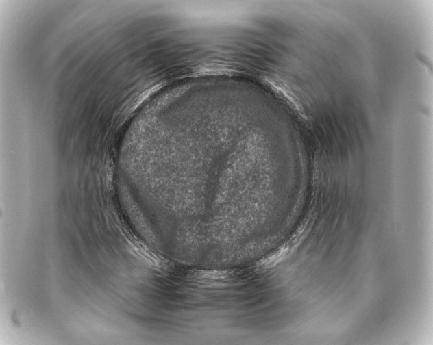 X0000094951401200712201127