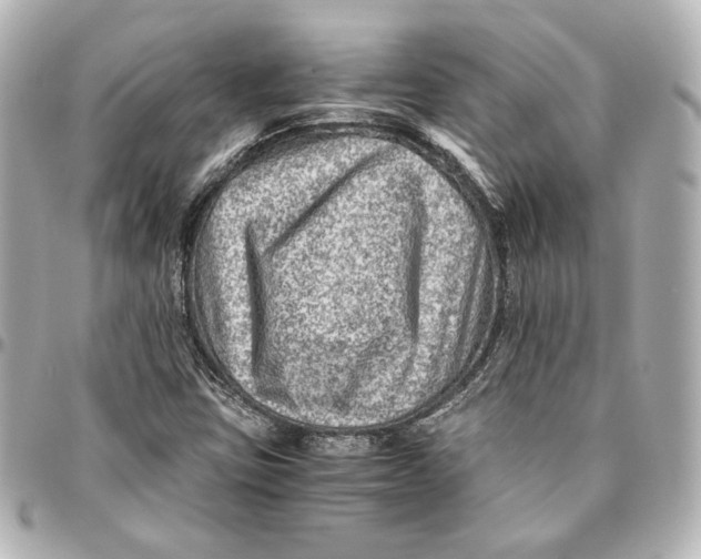 X0000094951403200712201127