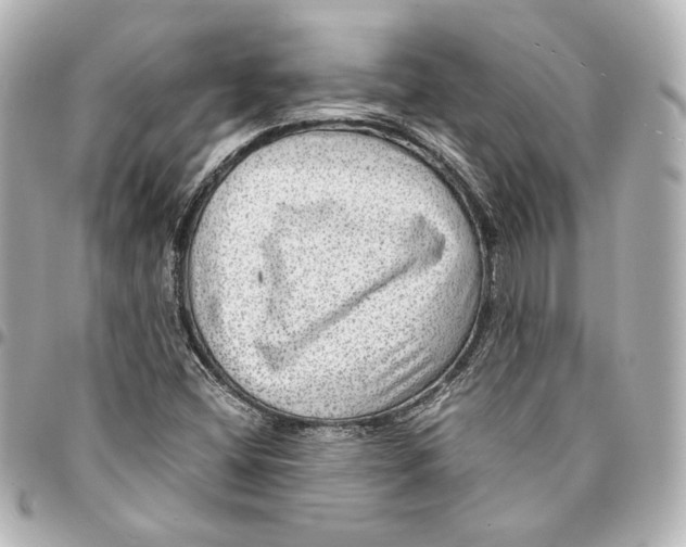 X0000094951404200712201127