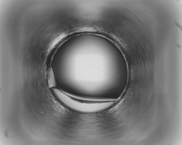 X0000094951406200712201127