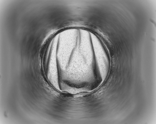 X0000094951408200712201127