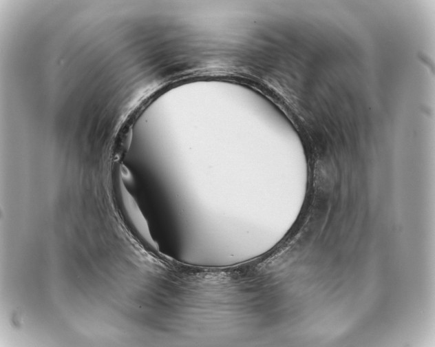 X0000094951410200712201127