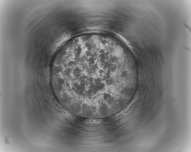 X0000094951411200712201127