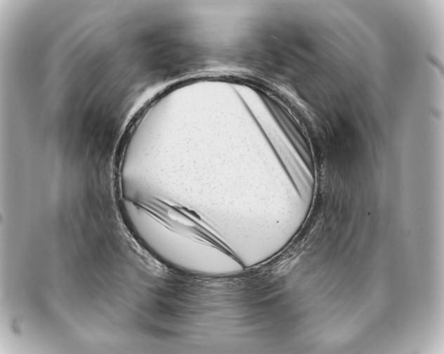 X0000094951412200712201127