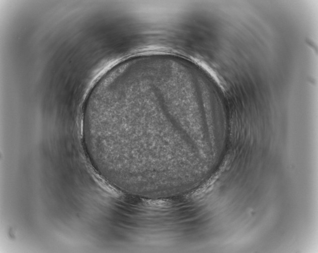 X0000094951413200712201127