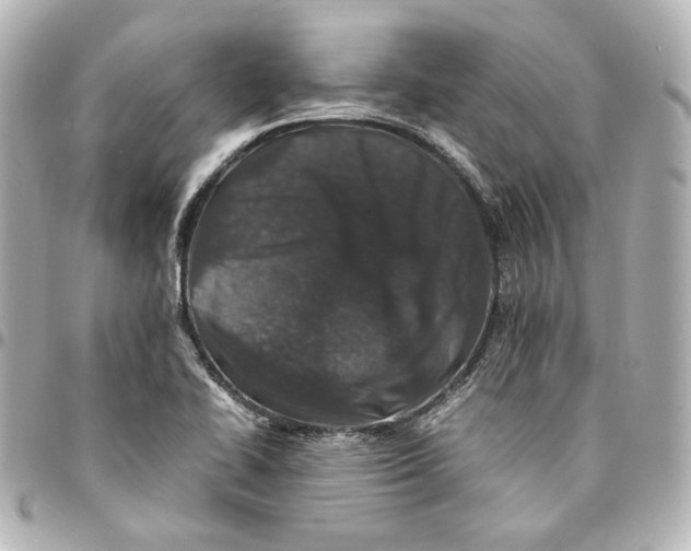 X0000094951414200712201127