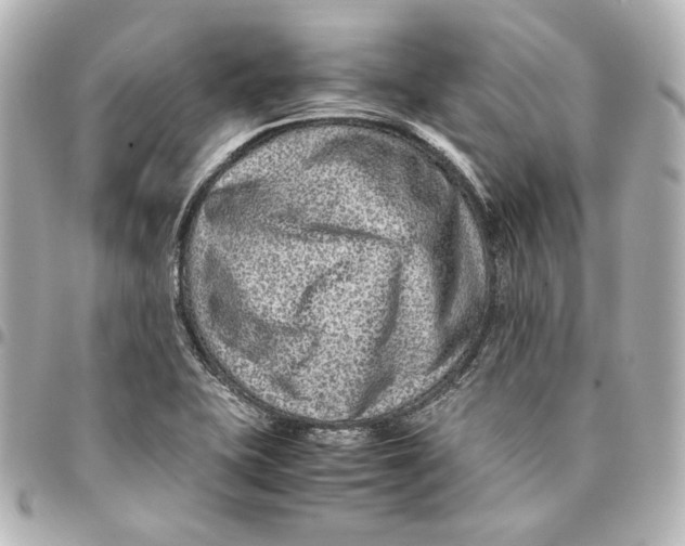 X0000094951415200712201127