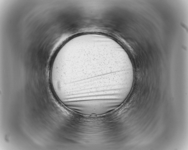 X0000094951416200712201127