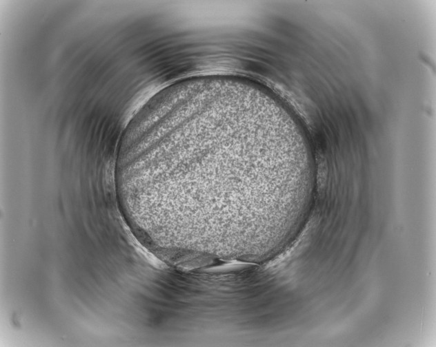 X0000094951417200712201127