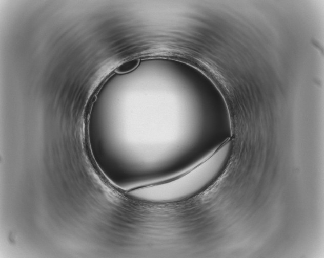 X0000094951418200712201127