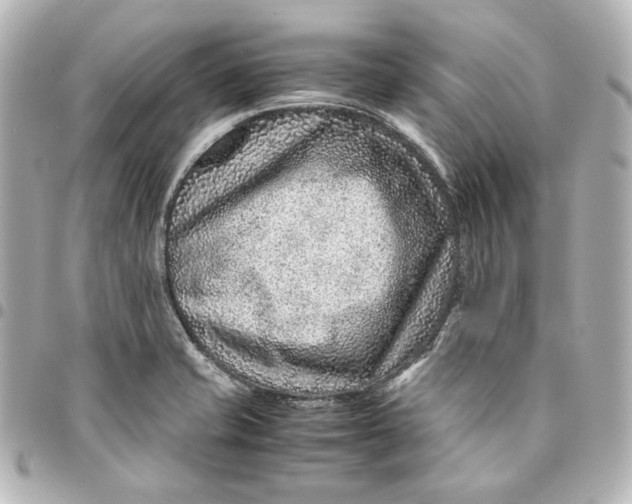 X0000094951421200712201127