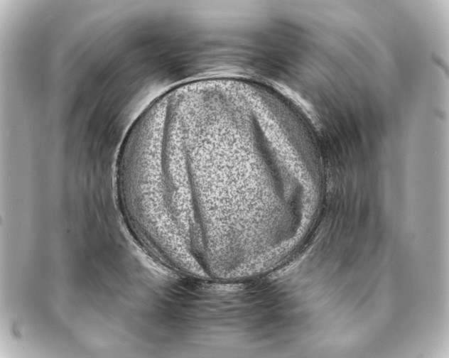 X0000094951423200712201127