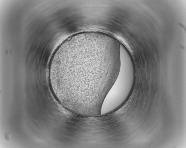 X0000094951424200712201127