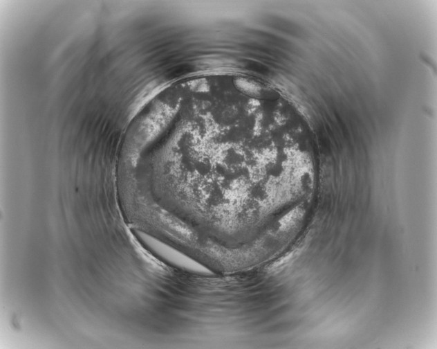 X0000094951425200712201127