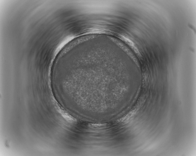 X0000094951427200712201127