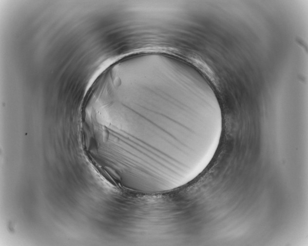 X0000094951428200712201127