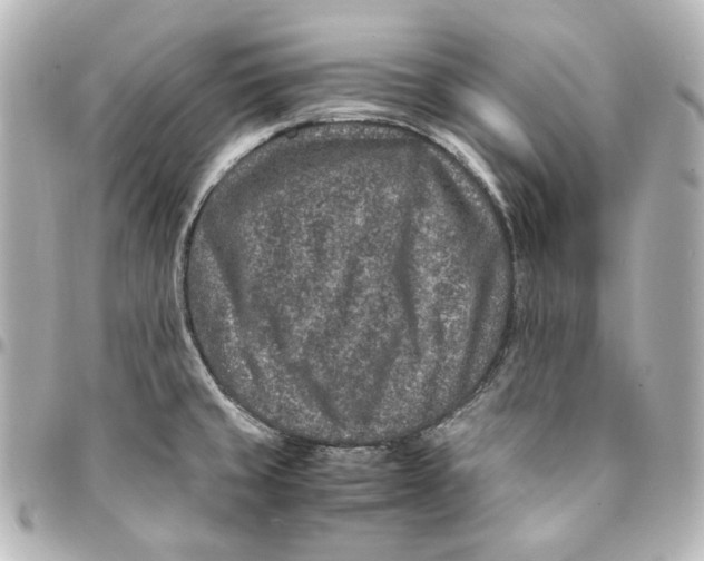 X0000094951429200712201127