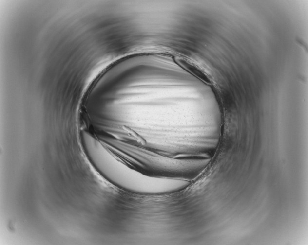 X0000094951430200712201127