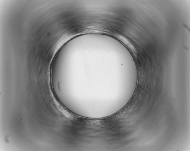 X0000094951431200712201127