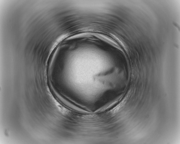 X0000094951434200712201127