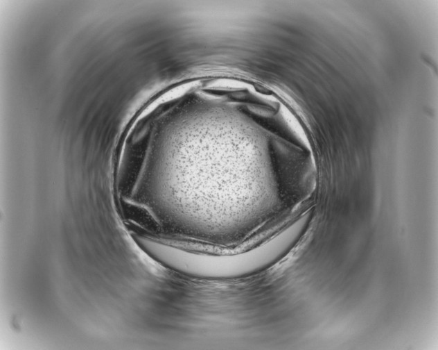 X0000094951438200712201127