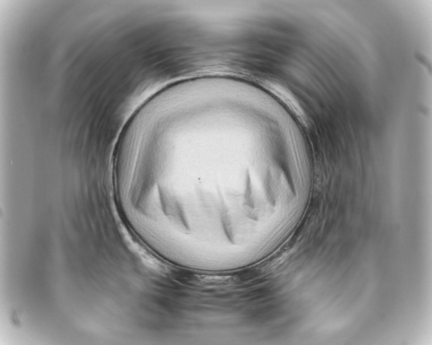 X0000094951439200712201127