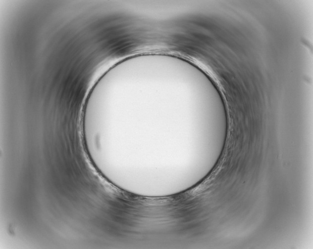 X0000094951440200712201127