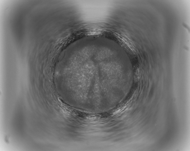 X0000094951441200712201127