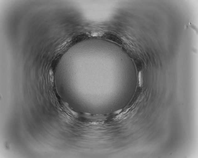 X0000094951443200712201127