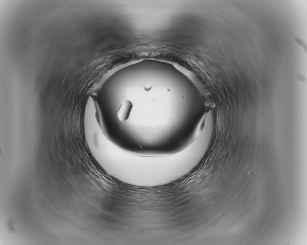 X0000094951444200712201127