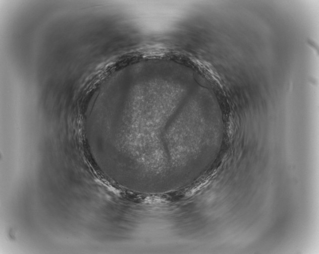 X0000094951445200712201127