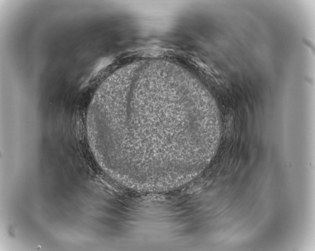 X0000094951446200712201127