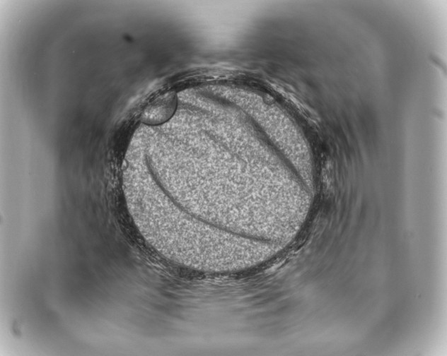 X0000094951447200712201127