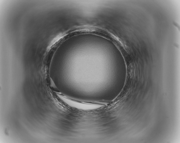 X0000094951448200712201127