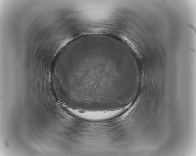 X0000094951449200712201126