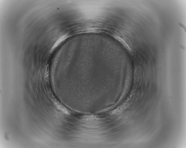 X0000094951450200712201126