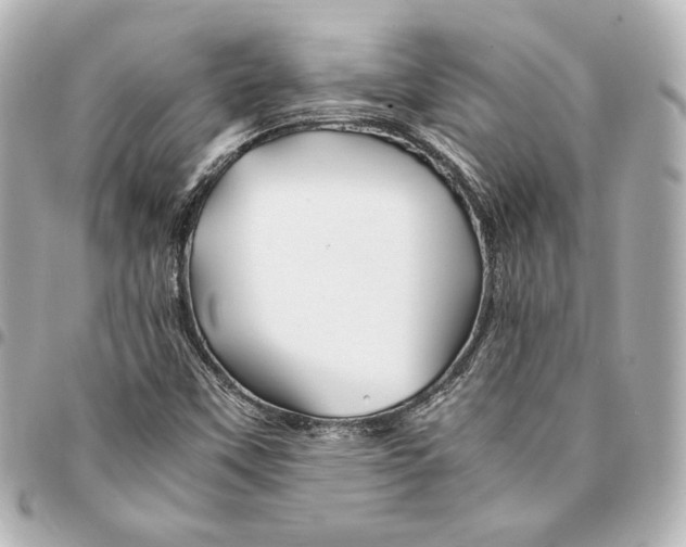 X0000094951451200712201126