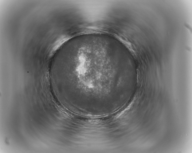 X0000094951453200712201126