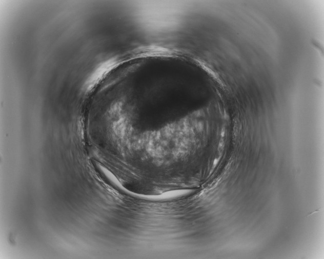 X0000094951455200712201126