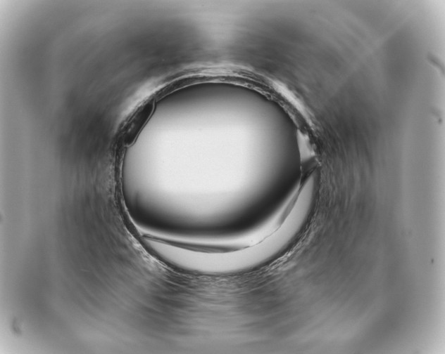 X0000094951456200712201126