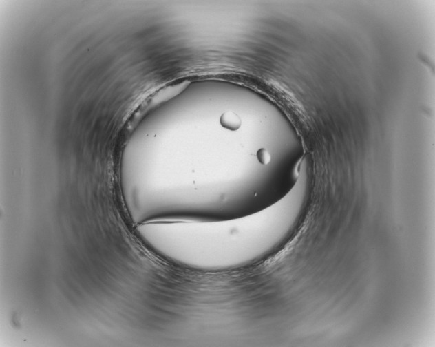 X0000094951457200712201126