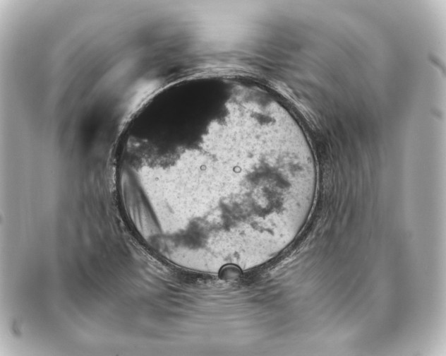 X0000094951459200712201126