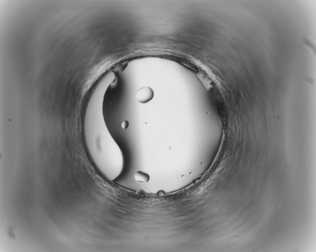 X0000094951461200712201126