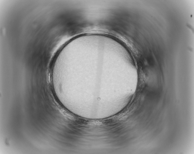 X0000094951462200712201126