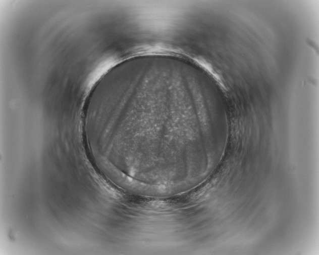 X0000094951463200712201126